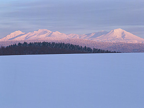 山,雪原,风景