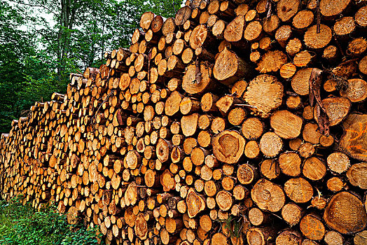 圆木,木料,一堆,哈尔茨山,山,德国