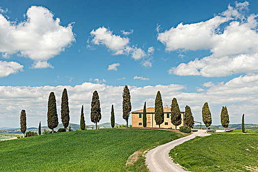 别墅,不动产,柏树,靠近,皮恩扎,锡耶纳省,托斯卡纳,意大利,欧洲