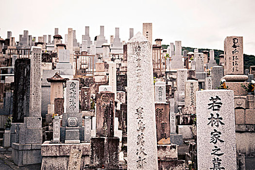 日本,墓地