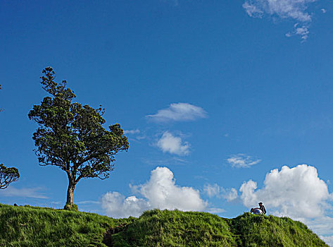 奥克兰伊甸山美景