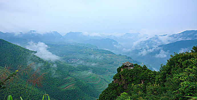 山,俯瞰,峡谷,森林,竹林