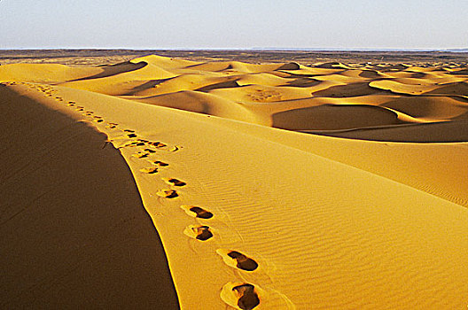 摩洛哥,梅如卡,却比沙丘,沙漠