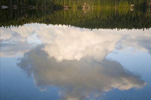 反射,云,湖,不列颠哥伦比亚省,加拿大