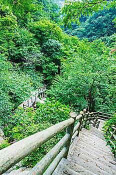 山中陡峭的台阶栈道