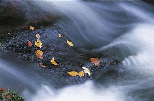 河,秋天,巴伐利亚森林,德国,欧洲