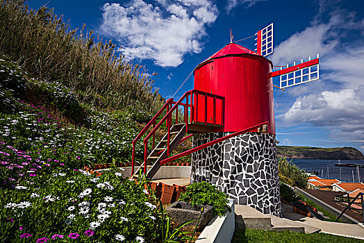 葡萄牙,亚速尔群岛,法亚尔,岛屿,小,传统风车