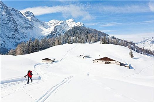 滑雪,靠近,奥地利