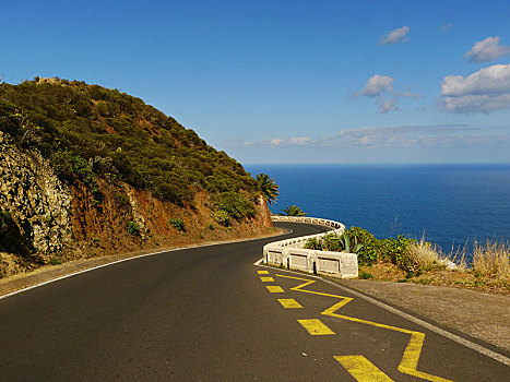 道路,特内里费岛,加纳利群岛,西班牙,欧洲