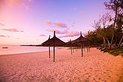 棕榈屋,风格,海滩小屋,日出,东南部,毛里求斯,非洲