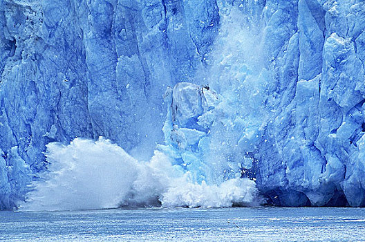 冰河,阿拉斯加,块,冰,落下,海洋,象征,温暖