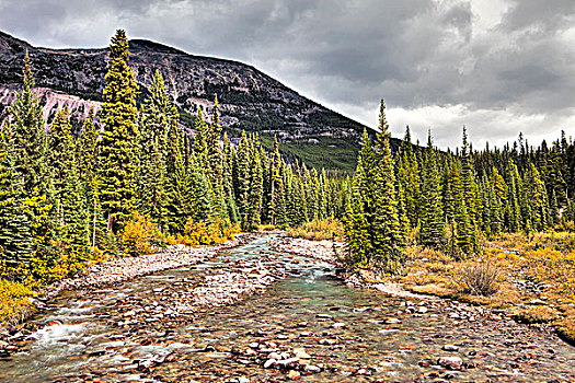 溪流,碧玉国家公园,艾伯塔省,加拿大