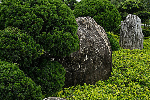 风景,石头,背景