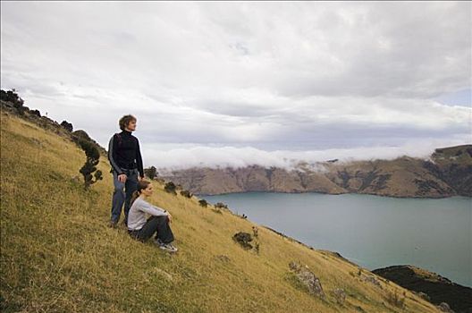 坐,夫妇,半岛,新西兰