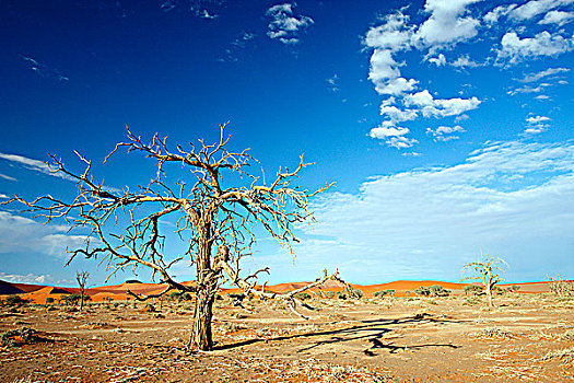 纳米比亚,纳米布沙漠,索苏维来地区