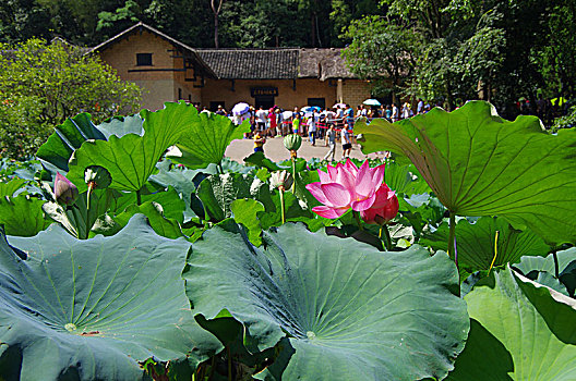 湖南,韶山,毛主席故居