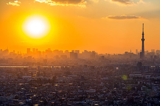 东京,日落