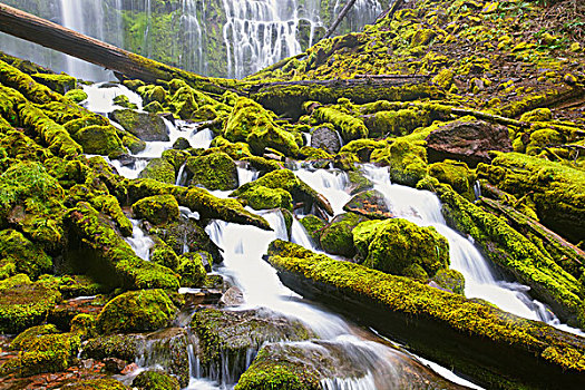 普罗克西瀑布,威勒米特国家公园,俄勒冈,美国