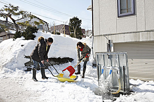 伴侣,雪