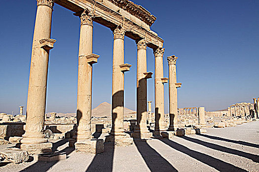 叙利亚帕尔米拉古遗址廊柱