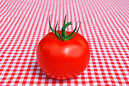 一个,藤,西红柿,红色,白色,方格,桌布