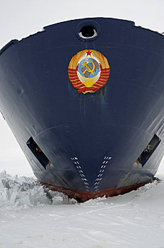 南极,威德尔海,破冰船,停放,迅速,冰,船首,锤子
