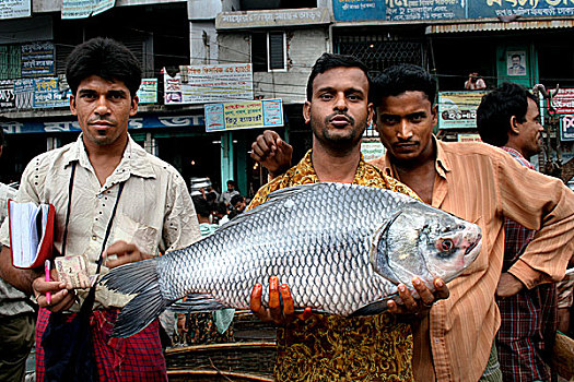 炫耀,大,鱼,孟加拉,五月,2007年