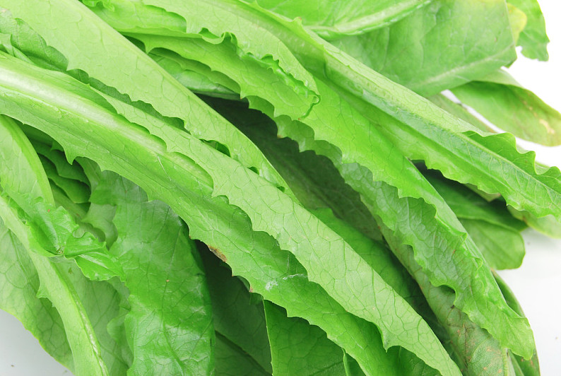 带叶蔬菜图片_带叶蔬菜图片素材