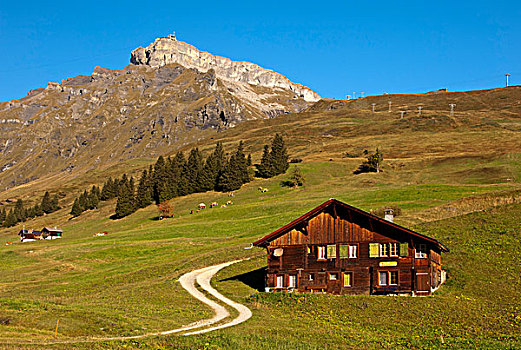 瑞士,木房子,高山牧场,下面,岩石墙,车站,缆车,靠近,伯恩高地,欧洲