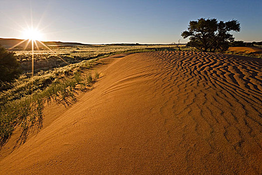 沙丘,边缘,纳米布沙漠,纳米比亚,非洲