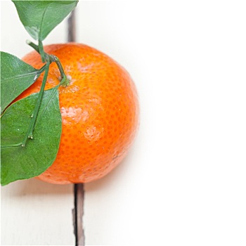 柑橘,白色背景,桌子
