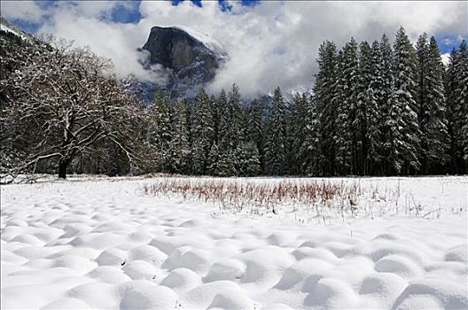 美国,加利福尼亚,优胜美地国家公园,初雪,秋天,半圆顶,顶峰,高处,怪异,雪,优胜美地山谷