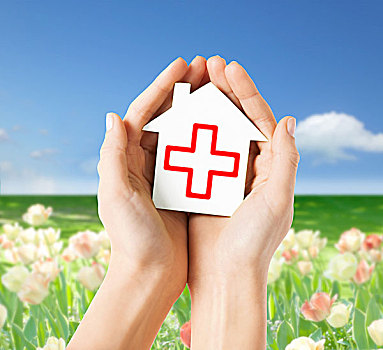 卫生保健,医疗,慈善,概念,表针,拿着,白色,纸,房子,红十字,标识