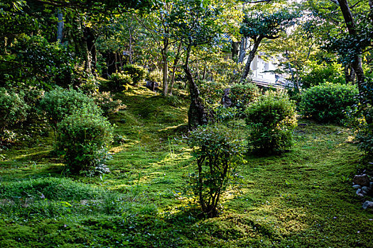 日本奈良日式庭园,吉城园,景观