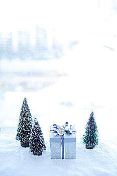 圣诞树,礼盒,毛皮