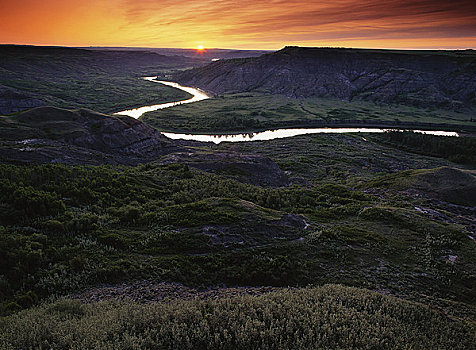 赤鹿,河谷,艾伯塔省,加拿大