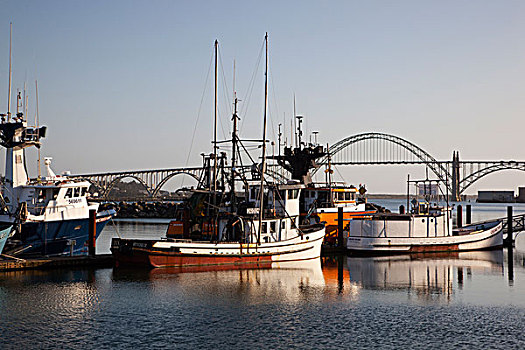 纽波特,渔船,雅奎纳,海湾大桥,背景