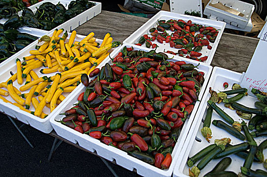 南瓜,加利福尼亚,农民,市场