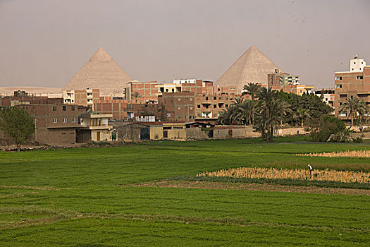 非洲埃及风景