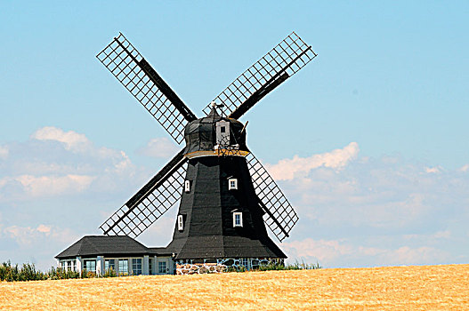 风车,地点,玉米,瑞典,欧洲