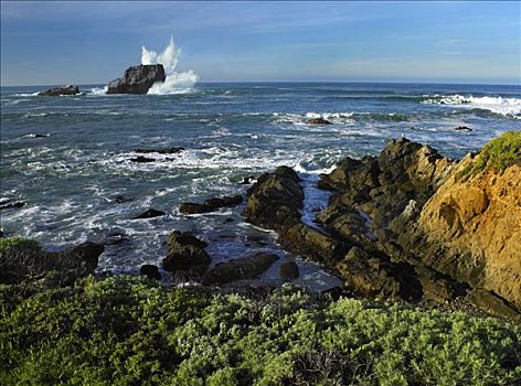 海蚀柱,岩石,岸边,加利福尼亚