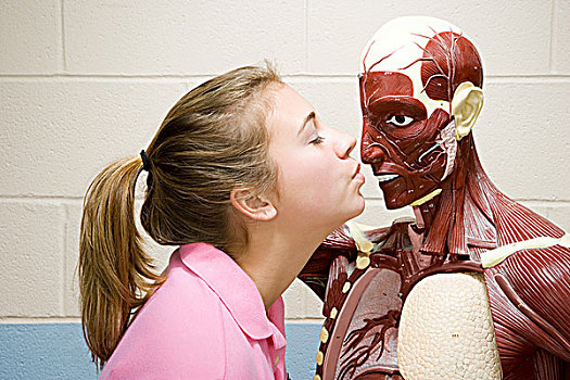 女学生,吻,解剖模型