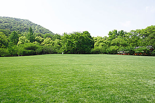 浙江杭州太子湾公园