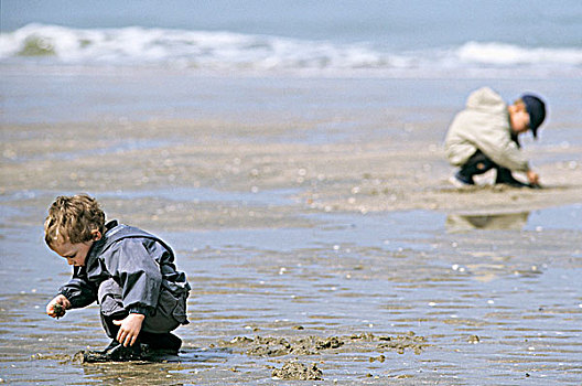 两个,小男孩,壳,海滩