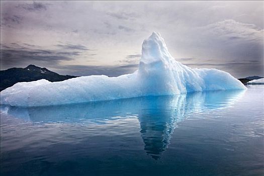 冰山,海岸,靠近,瓦尔德斯半岛,阿拉斯加,美国,北美