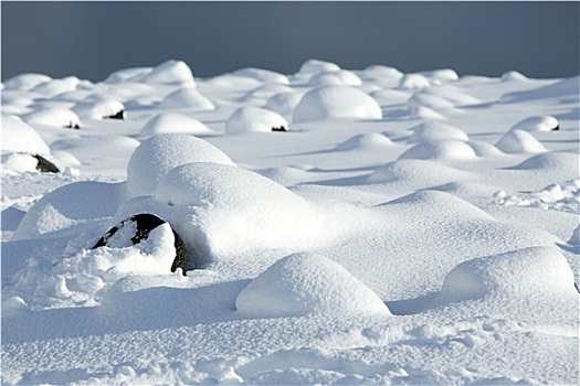 雪,火山岩,冰岛
