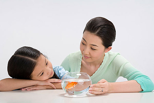 母女在看鱼缸里的鱼
