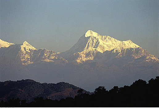 俯视,山峦,树,尼泊尔