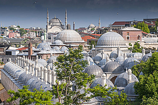 漂亮,圆顶,清真寺,伊斯坦布尔,土耳其
