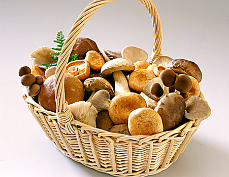 篮子,蘑菇